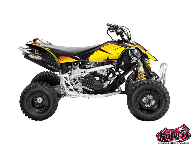 Can Am DS 450 ATV Factory Graphic Kit